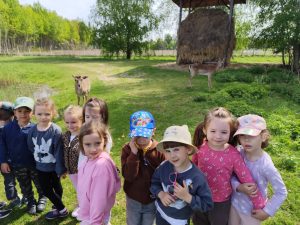 2 a Ruda Żmigrodzka