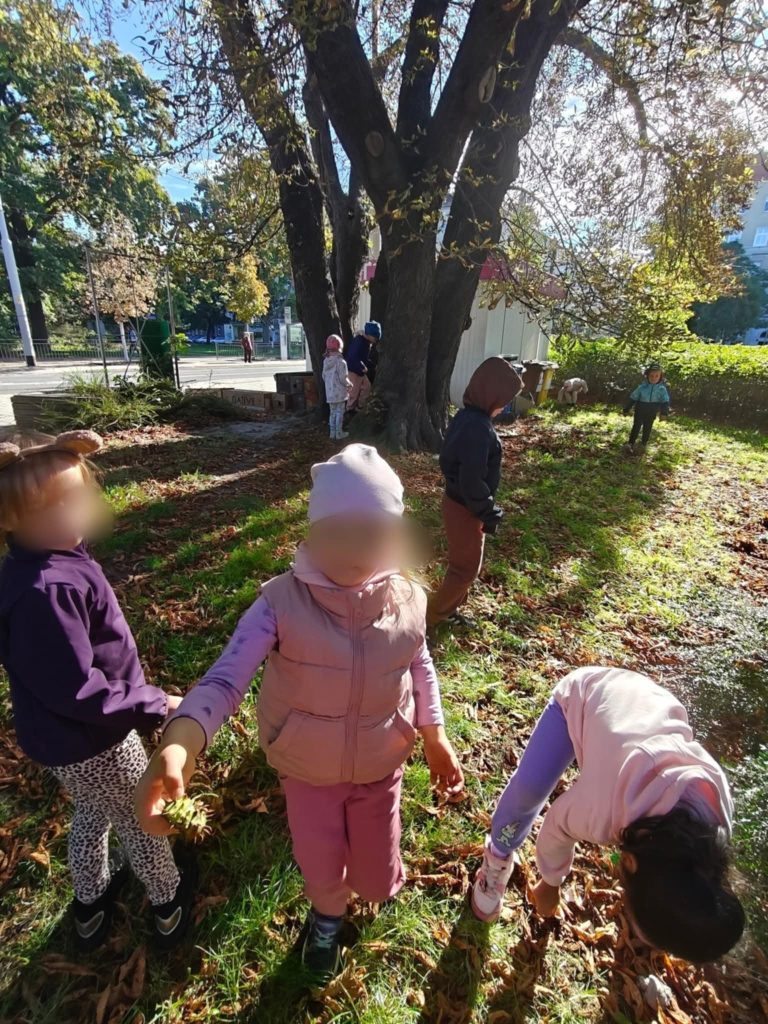 3 c zbiera dary jesieni